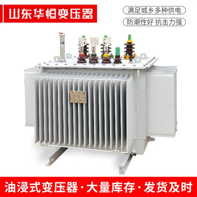 S13-10000/35安仁安仁安仁电力变压器
